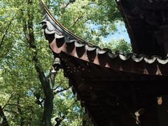 -兰拓相机租赁·二手(杭州店)