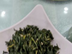 凉拌苦苦菜-老毛手抓·盐池滩羊非遗手抓(宁夏总店)