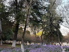 -白塘生态植物园