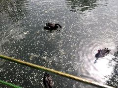 -长白岛森林公园