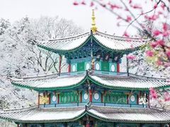 -黑龙潭公园