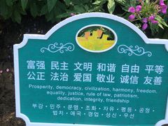 -荷兰花海