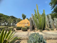 -深圳仙湖植物园