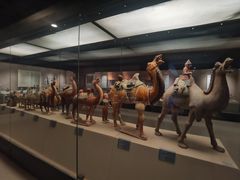 -西安大唐西市博物馆