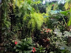 -颐而康·按摩·艾灸·足疗(南岸晶都店)