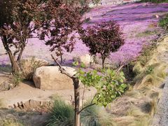 -昆嵛山石门里景区