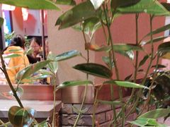 -山河屯铁锅炖鲜鹅·东北菜(开发区一店)