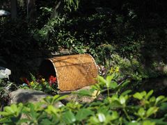 -广州兰圃
