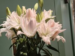 -南堂馆·新川菜(春熙路店)