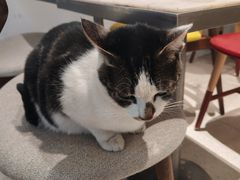 -Peet's Coffee皮爷咖啡(豫园店)