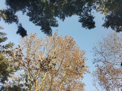 -春晖园度假酒店温泉