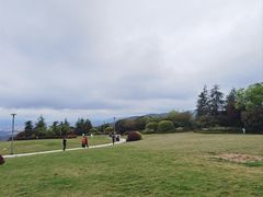 -铁山坪森林公园