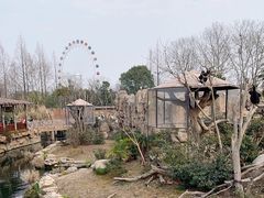 -上海野生动物园