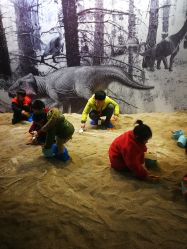 -恐龙探索乐园(磁器口店)