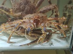-樱之盛宴·蟹料理海鲜自助(前进大街店)