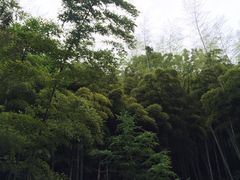 -藏龙百瀑风景区