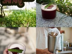 -SAFARI COFFEE