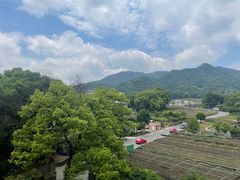 -龙坞茶村