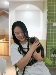 -Moni星球萌宠·小马宝莉·灵蛇·高端高阶全萌宠互动体验俱乐部(红豆国际广场店)