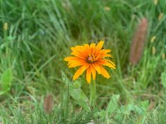 -大连铭湖国际观光牧场