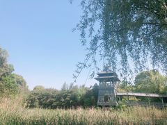 -金鸡湖桃花岛