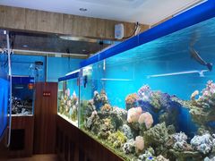 -御唐府海珊瑚主题餐厅
