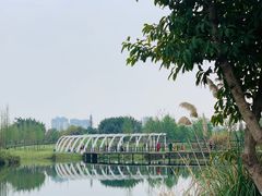 -眉山湿地公园(东坡区)