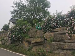 -石塘人家