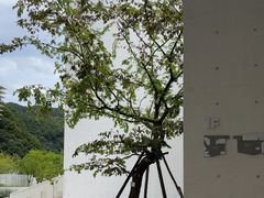 -中国宣纸文化园