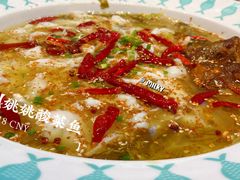 -姚姚酸菜鱼(五象万象汇店)