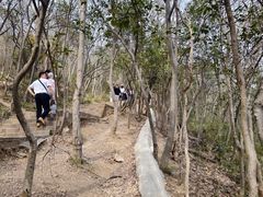 -紫金山山顶公园