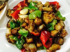 -煲来饱去冷水鱼