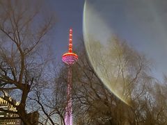 -辽宁电视塔