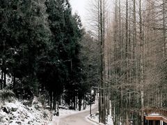 -山王坪喀斯特国家生态公园