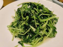 -胡杨记忆(和平路店)