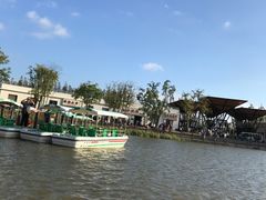 -上海长兴岛郊野公园