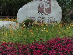 -黄龙溪古镇