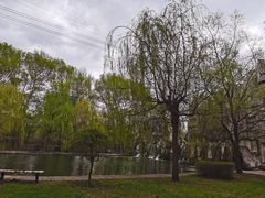 -黑龙江省森林植物园