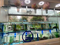 -富临港·蒸汽海鲜·手抓海鲜·炒菜(栈桥店)