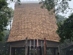 -越南民族学博物馆