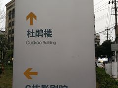-长沙市青少年宫