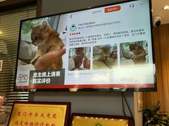 -御宝贝·A梦猫科宠物医院(国际猫友好医院)