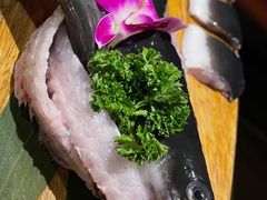 鱼头-吉力烤鳗