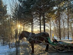 -北极村旅游风景区