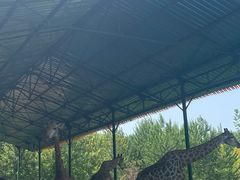 -秦皇岛野生动物园