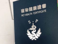 -申普宠物医院·心脏介入·心血管微创(总院)