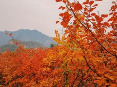 -周口店坡峰岭风景区