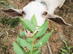 -天津东丽湖风景区