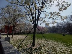 -人民广场