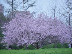 -白塘生态植物园